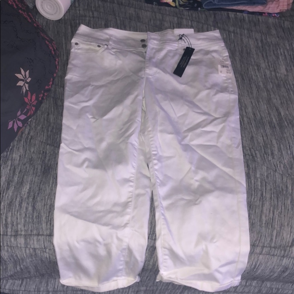 CATO capris
